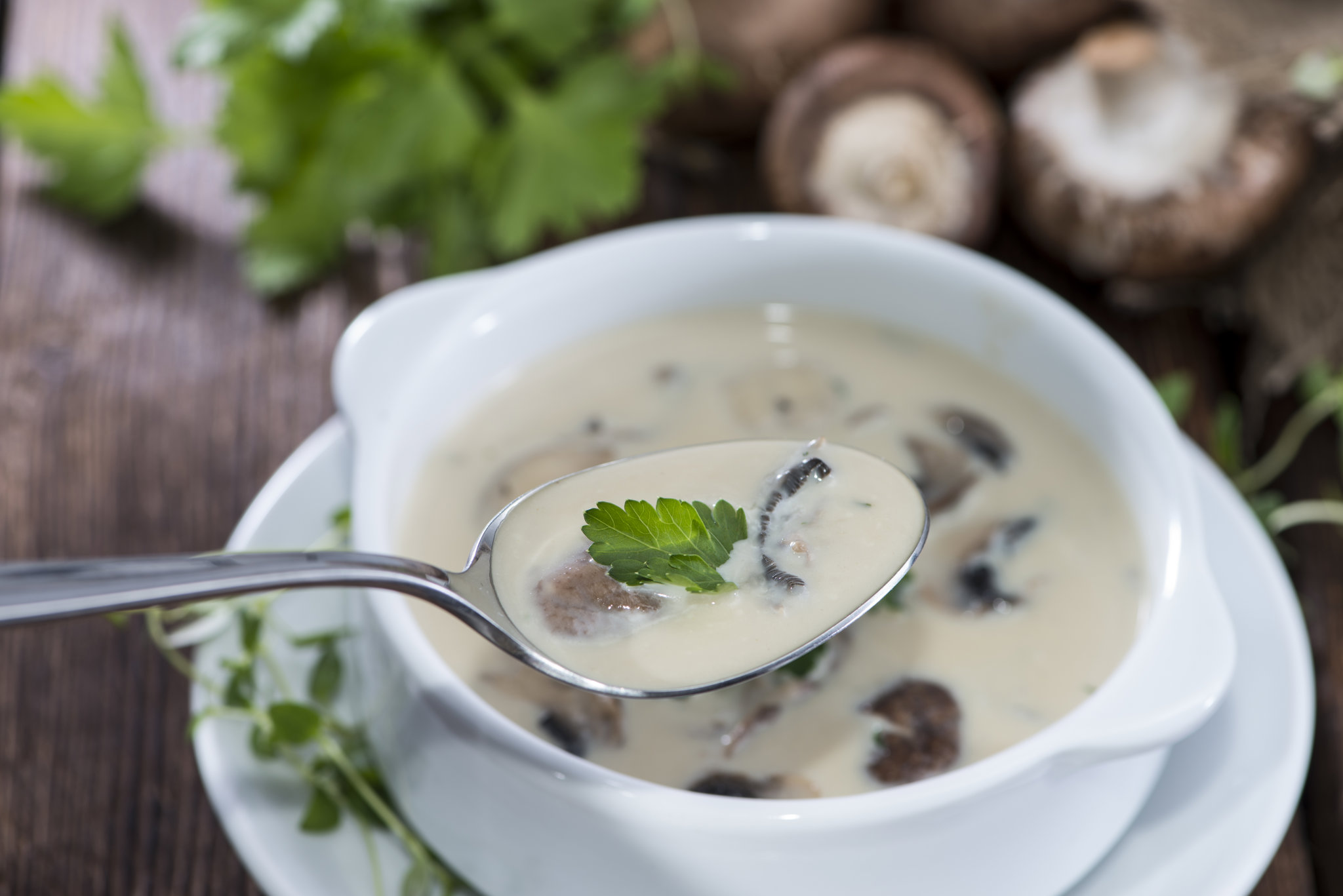 Picture of Mushroom Soup (VG)